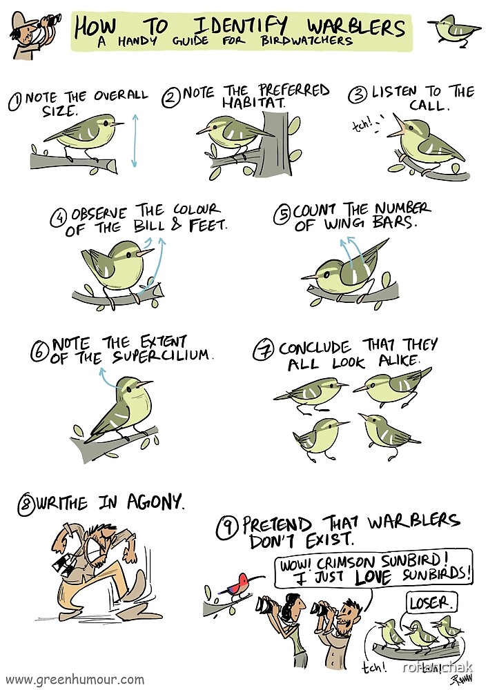 "How to Identify Warblers" by rohanchak Redbubble