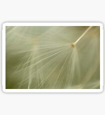 Softness Sticker