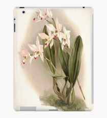 Reichenbachia Orchids illustrated and described by F. Sander 1888 V1-V2 036 iPad Case/Skin