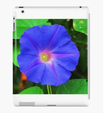 Good Morning in Blue Glory iPad Case/Skin