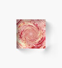 Dog Spin Acrylic Block