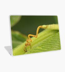 Young Curly Banana Leaf Laptop Folie