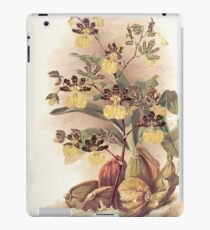 Reichenbachia Orchids illustrated and described by F. Sander 1888 V1-V2 088 iPad Case/Skin