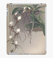 Reichenbachia Orchids illustrated and described by F. Sander 1888 V1-V2 067 iPad Case/Skin