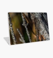 Hiding grasshopper Laptop Skin