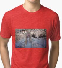 Snowstorm Tri-blend T-Shirt