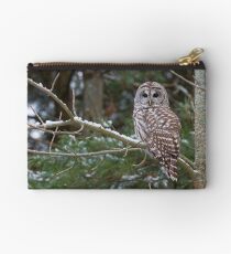 Barred Owl - Ontario Canada Studio Pouch