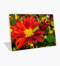 Red daisy chrysanthemum Laptop Skin
