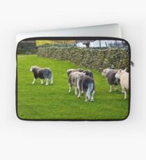 Ba Ba Herdwick Sheep Laptop Sleeve