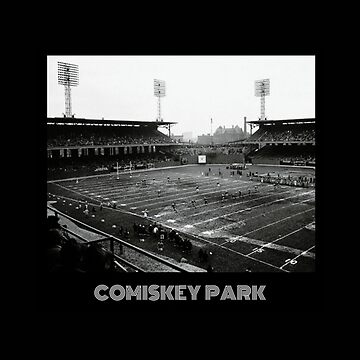  16x16 Black and White Chicago Wall Art: Comiskey Park