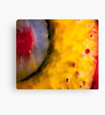 I is Looking at You Canvas Print