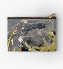 Eastern Brown Studio Pouch