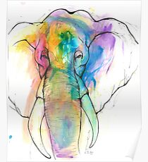 Elephant Poster