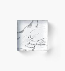"Squeeze" Acrylic Block
