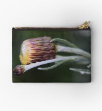 Phagnalon graeca Studio Pouch