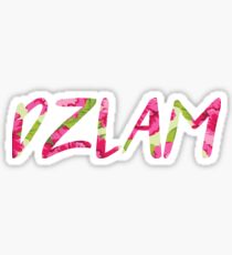 DZLAM Sticker