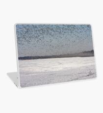 100K+ Series - Swarms In The Distance Laptop Skin