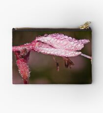 Dewkissed Studio Pouch