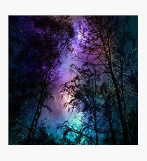 Night sky 1 Photographic Print