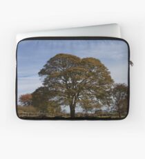Tree in Derbyshire, UK Laptop Sleeve
