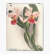 Reichenbachia Orchids illustrated and described by F. Sander 1888 V1-V2 072 iPad Case/Skin