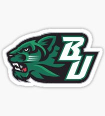 Binghamton U Sticker