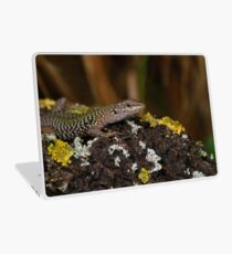 Untitled Laptop Skin