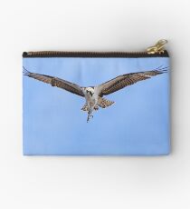 Osprey (Pandion haliaetus) Studio Pouch