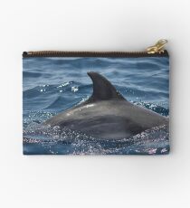 Dolphin Diving Studio Pouch