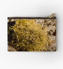 Fuzzball Studio Pouch