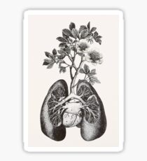 Green lungs Sticker