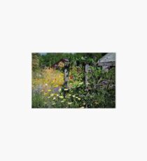 Field Of Dreams Art Board