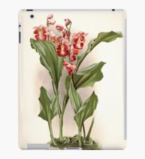Reichenbachia Orchids illustrated and described by F. Sander 1888 V1-V2 017 iPad Case/Skin