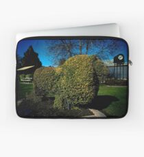 Lion on guard Laptop Sleeve