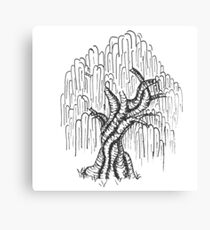 Willow Canvas Print