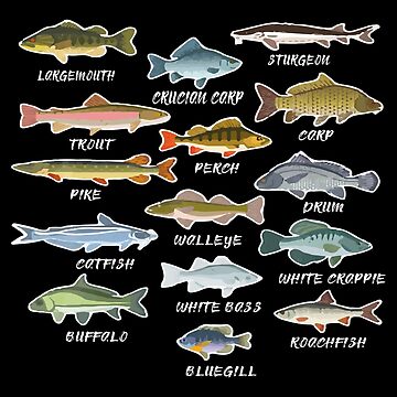 Types Of Freshwater Fish Species Fishing | Sticker