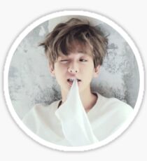 Baekhyun - Exo Sticker
