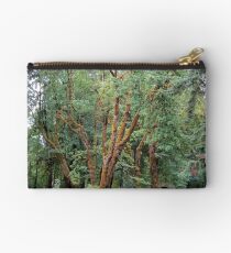 Schafer State Park, Washington Studio Pouch