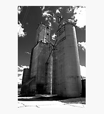 Farmers Elevator Morrison, IL Photographic Print