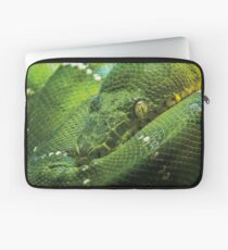 Wild Faces: Green Tree Python Laptop Sleeve