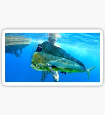 Speerfischen Mahi Mahi / Dorado / Delphin Fisch Sticker