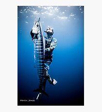 Spearfishing wahoo Photographic Print