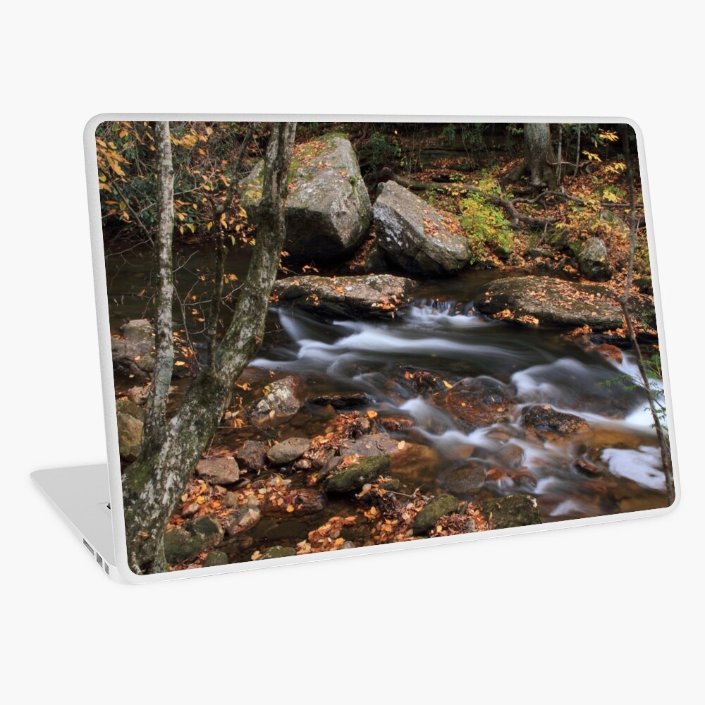 All Things Merge Into One Laptop Skin