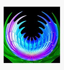 Venus Fly Trap Photographic Print
