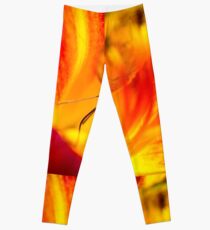 Cloudless Sulphur Phoebis Sennae Leggings