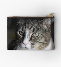Meet Tiger! Studio Pouch