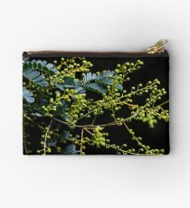 Acacia spectabilis Studio Pouch