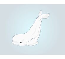 &ldquo;Adorable Beluga Whale Design&rdquo; Stickers by Inklingsofgrace | Redbubble