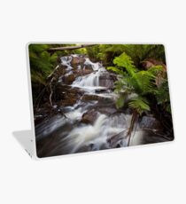 Cascades Laptop Skin