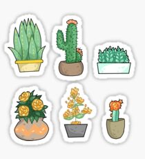 Cactus: Stickers | Redbubble